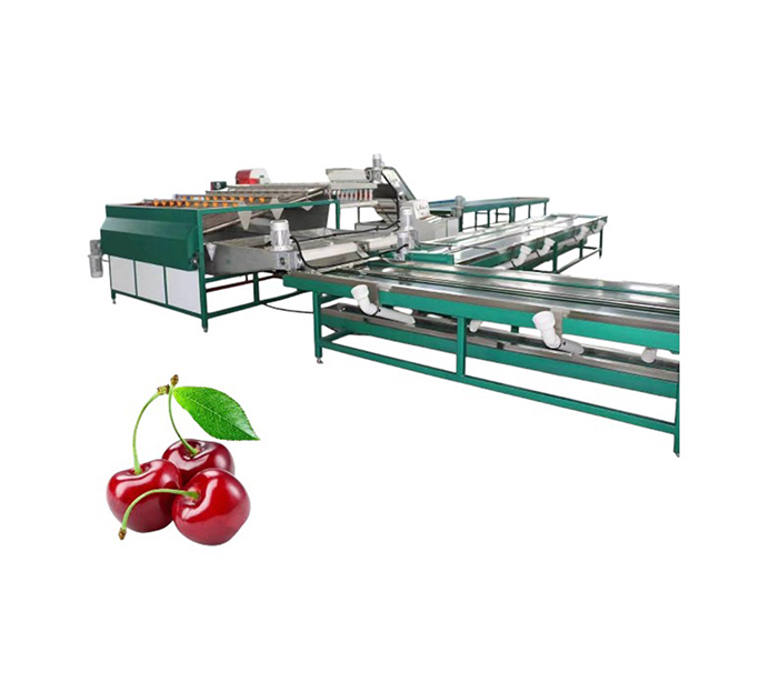 Cherry Sorting Equipment Exported to Europe