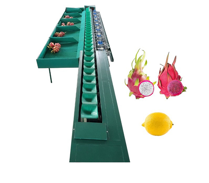 Dragon Fruit Weight Sorting Machine