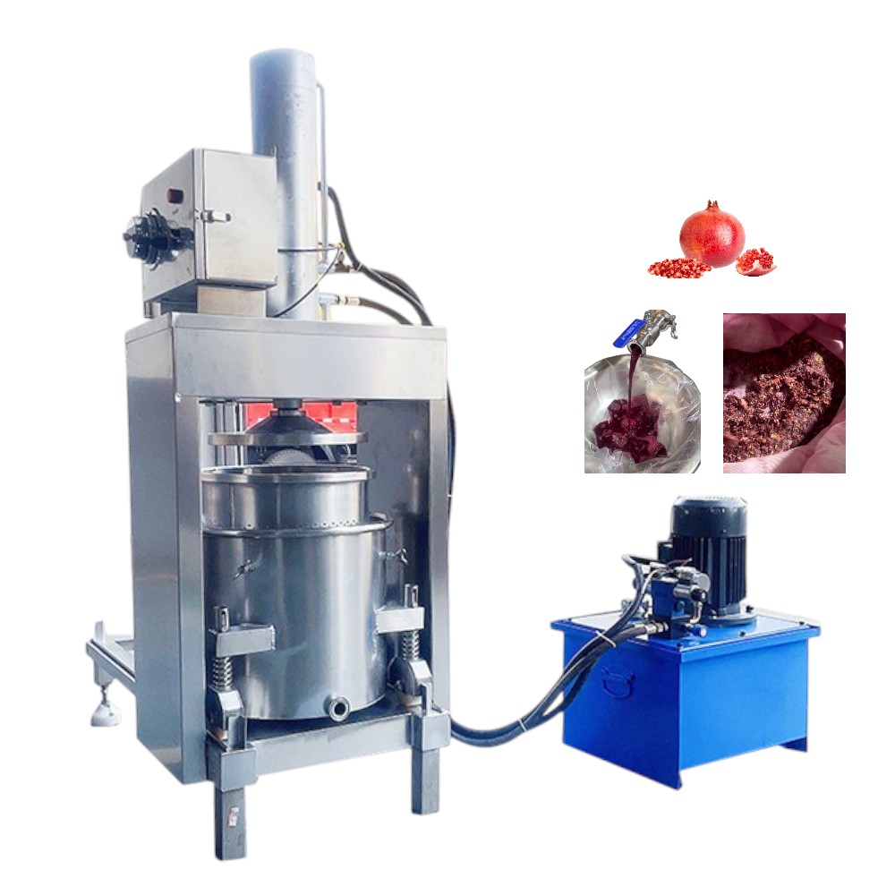 Hydraulic Fruit Vegetable Press Machine Export to Europe