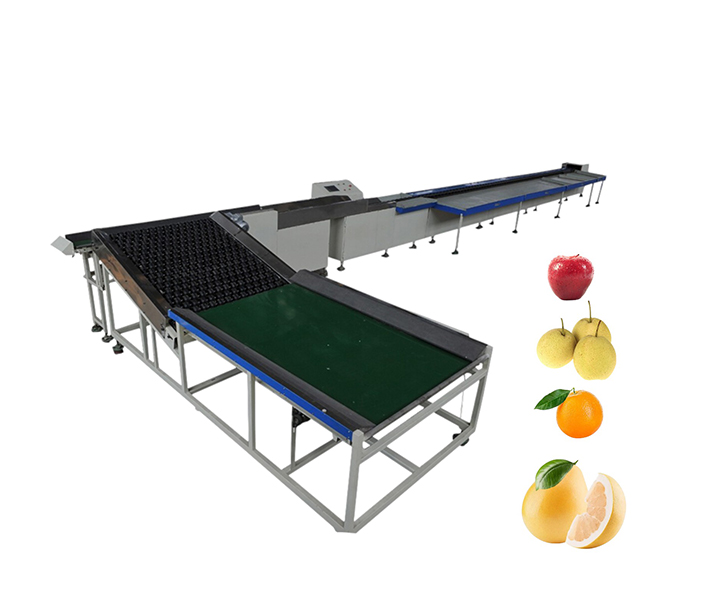 Electronic Fruit Grading Machine