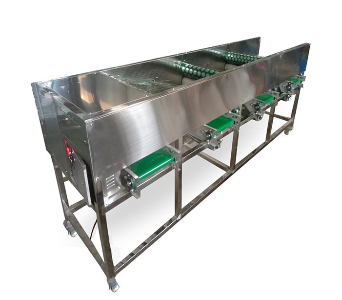 Hole Belt Type Garlic Size Grading Machine