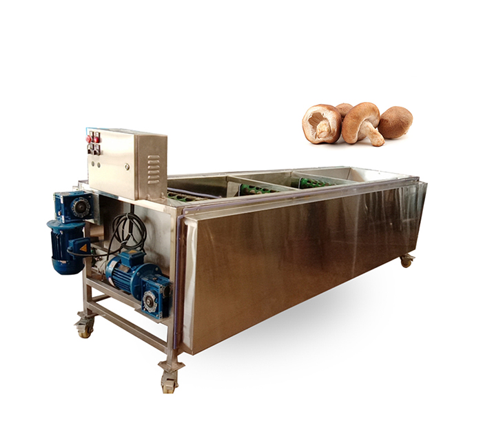 Hole Belt Type Mushroom Size Grading Machine