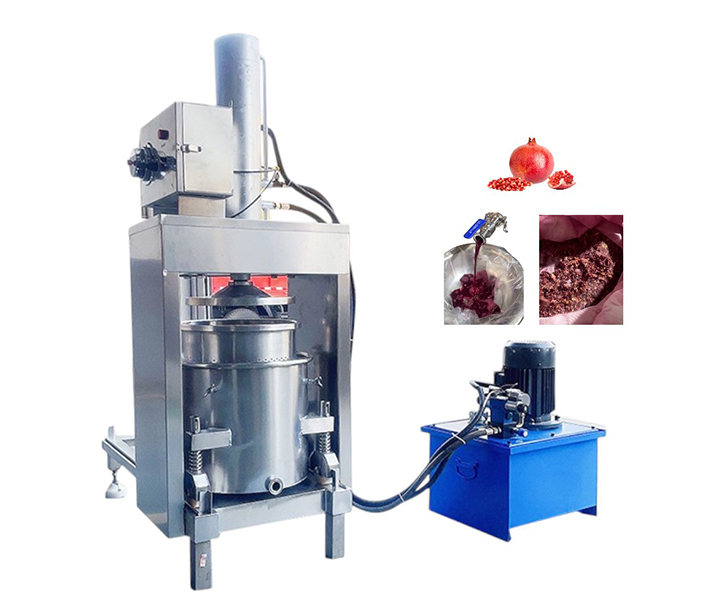 Hydraulic Fruit Vegetable Press Machine