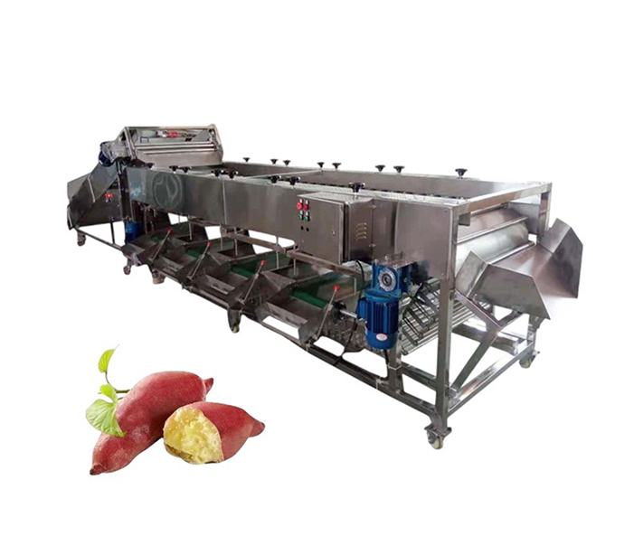 Automatic Roller Type Fruit Sorting Machine