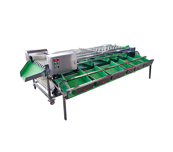 Pathway Fruit Size Grading Machine